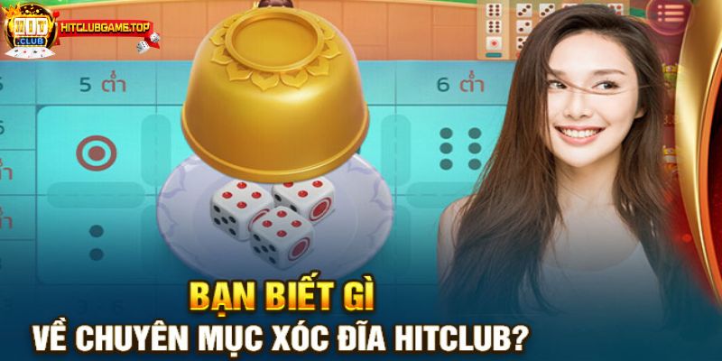 Các loại cược trong Xóc Đĩa HITCLUB